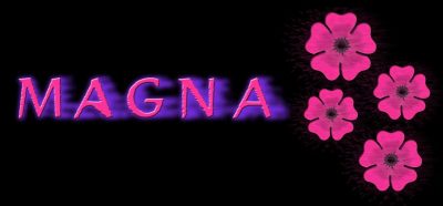 logo_magna