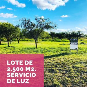 Puerto Colon Inmobiliaria