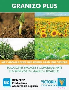 BENITEZ Productores Asesores De Seguros
