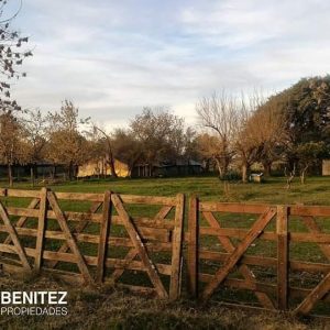 BENITEZ Propiedades