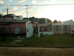Ala de Colibrí