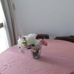 Alquileres Elena