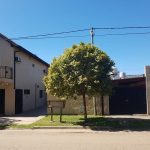 Alquileres Massiolo Stella Maris