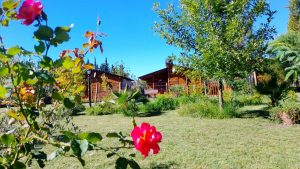 Aromas de Campo-Cabañas de Tronco
