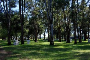 Camping Los Tilos