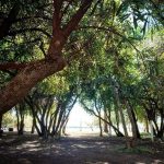 Camping Nuevo Costero Sur