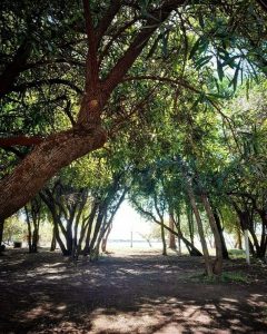Camping Nuevo Costero Sur
