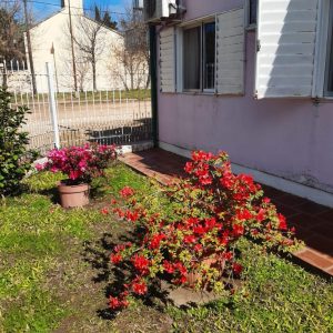Casa María