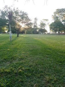 Ecocamping Colón