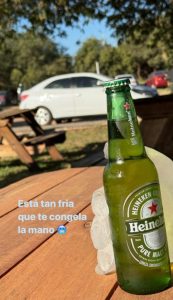 Jungla Bar