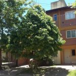 La Palmera Escondida – El Tilo
