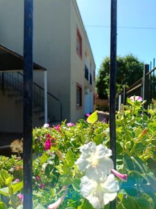 Los Naranjos